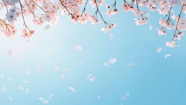 Sunlit cherry blossom branches with delicate falling petals against clear blue sky, spring
