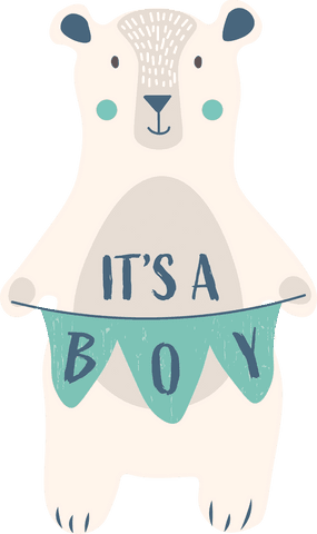 cute bear holding it's a boy banner on transparent background - Download Free Stock Videos Pikwizard.com