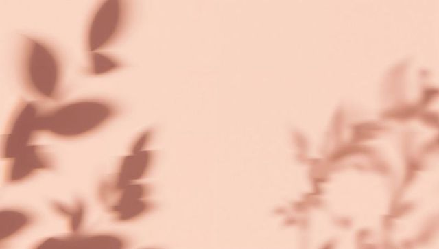 Soft peach backdrop casting blurred leaf and branch shadows with subtle vertical seam