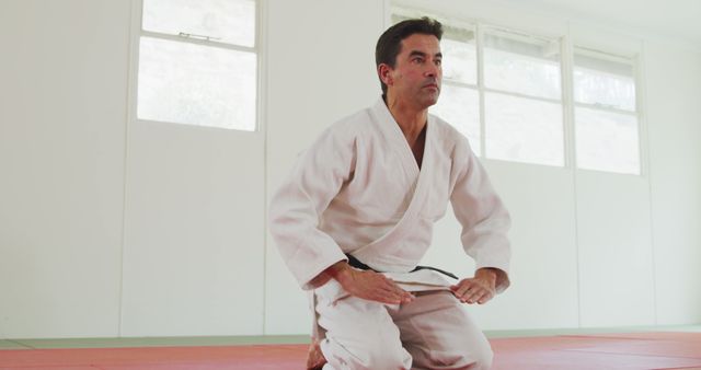 Martial Arts Practitioner Kneeling in Traditional Dojo - Download Free Stock Images Pikwizard.com