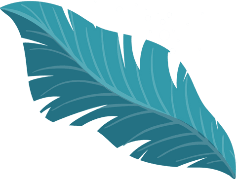 floating botanical feather with droplets on transparent background - Download Free Stock Videos Pikwizard.com