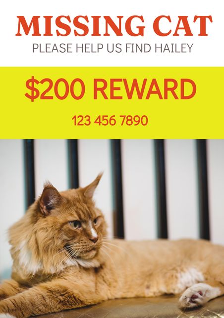 A reward poster featuring contact information and a request for help in finding a missing cat. The visible yellow background with red and bold text emphasizes the urgent appeal and reward amount. Ideal for raising awareness about a lost pet, this poster is designed to attract attention and prompt people to assist with finding the cat. Perfect for use in neighborhoods, community boards, veterinary clinics, social media, and local shops to get assistance in locating missing pets.