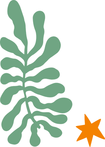 Minimalist Leaf and Star Illustration on Transparent Background