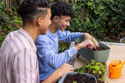 Two Friends Bonding Through Planting in Lush Backyard