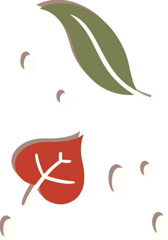 minimalist botanical illustration with leaves on transparent background - Download Free Stock Videos Pikwizard.com