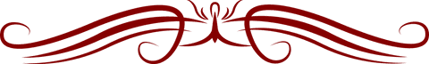 Elegant Red Flourish Decorative Vector on Transparent Background - Download Free Stock Videos Pikwizard.com