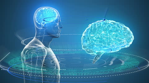 Conceptual Digital Model of Human Brain and Data Interactions