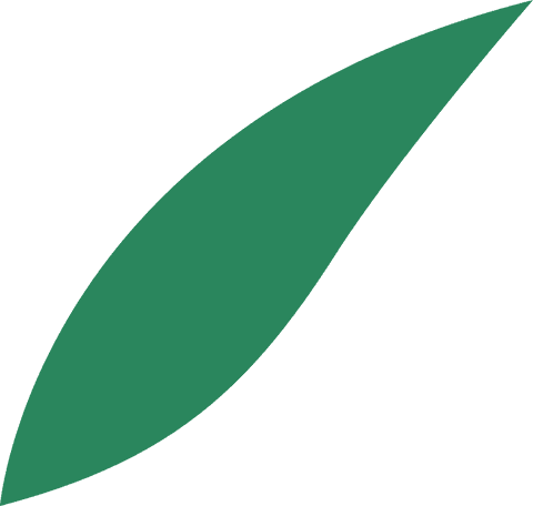 transparent green leaf illustration isolated vector botany - Download Free Stock Videos Pikwizard.com