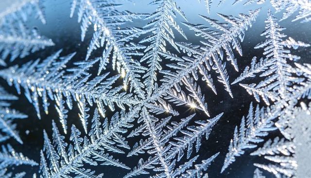 Dendritic frost crystals forming on window glass reflecting sparkling highlights