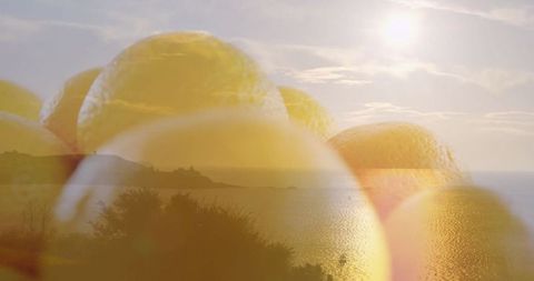 Vibrant Lemons Overlaying Serene Coastal Sunrise Scene