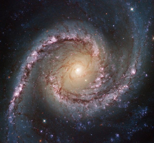 Hubble Captures Intermediate Spiral Galaxy NGC 1566 in Dorado Constellation - Download Free Stock Photos Pikwizard.com