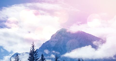 Serene Winter Mountain Landscape with Snowy Fir Trees