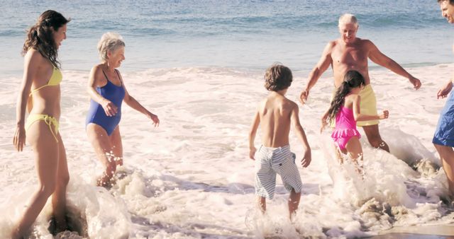 Multigenerational Family Playing in Waves at Sunny Beach - Download Free Stock Images Pikwizard.com