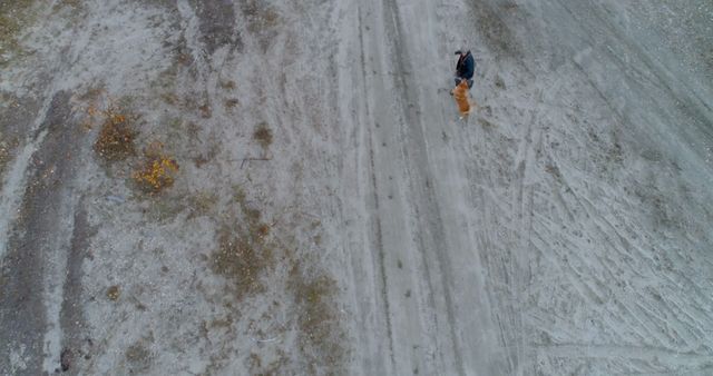 Aerial View of Person Walking Dog on Gravel Road - Download Free Stock Images Pikwizard.com