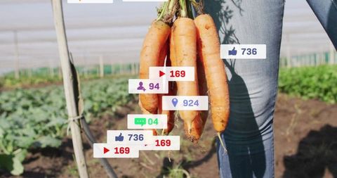 Organic farming with social media engagement in rural scene