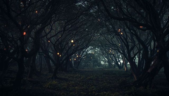 Enchanted Forest Canopy with Glowing Lanterns at Twilight