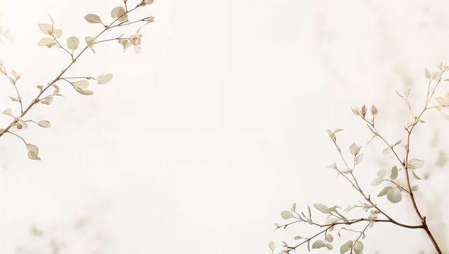 Minimalist eucalyptus branches casting soft shadows on pale neutral backdrop for design