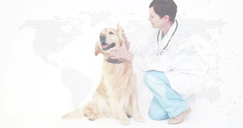 Veterinarian Examining Golden Retriever in High-Key Clinical Studio with World Map Overlay