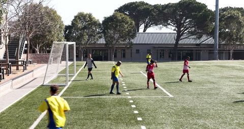Exciting youth soccer match on vibrant green field under clear sky