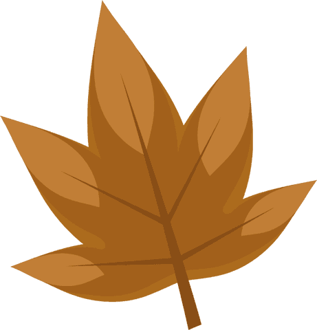 Stylized brown autumn leaf vector on transparent background