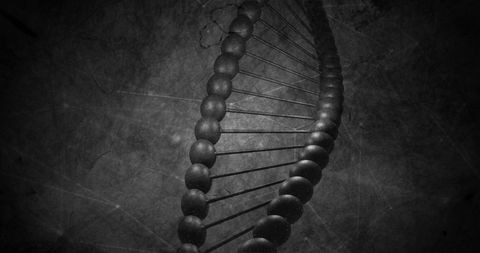 Close-up of black dna strand on grunge background