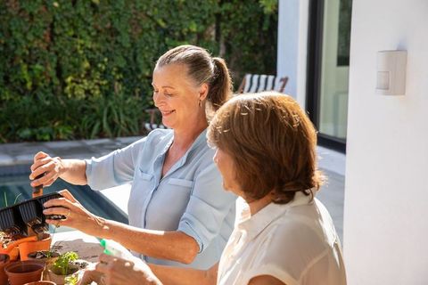 Female Friends Gardening Outdoors by Sunny Patio Poolside