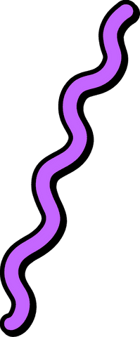 Curved purple wavy line with black outline on transparent background