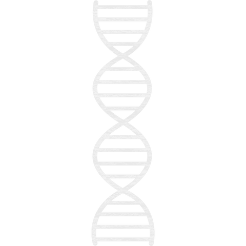 Seamless Transparent DNA Strand Pattern Graphic Vector - Download Free Stock Videos Pikwizard.com