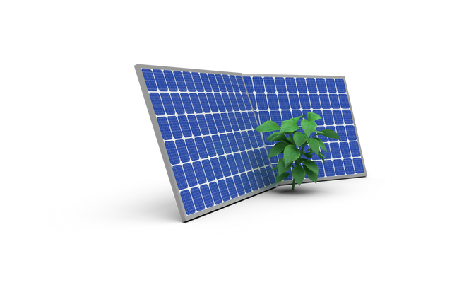 Transparent Plant and Solar Panels Concept Illustration - Download Free Stock Videos Pikwizard.com