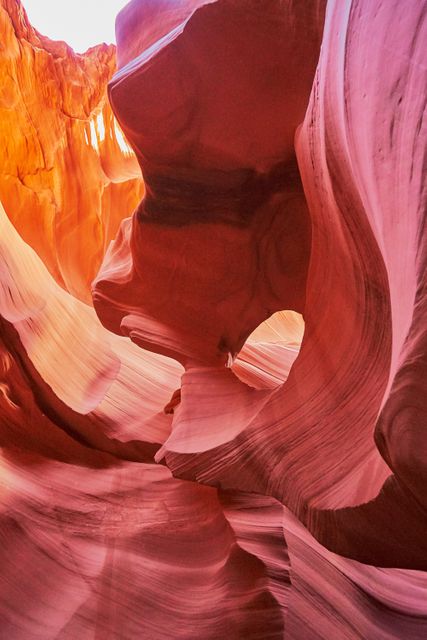 Winding through the mesmerizing rock formations of Antelope Canyon, the image captures the vibrant red sandstone uniquely shaped by natural erosion. Sunlight streams down, highlighting the smooth, flowing patterns carved into the canyon walls. This serene and awe-inspiring landscape is perfect for travel brochures, adventure magazines, tourism websites, or nature photography collections.