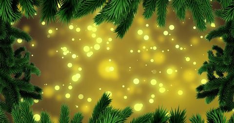 Festive fir branches with glowing holiday lights