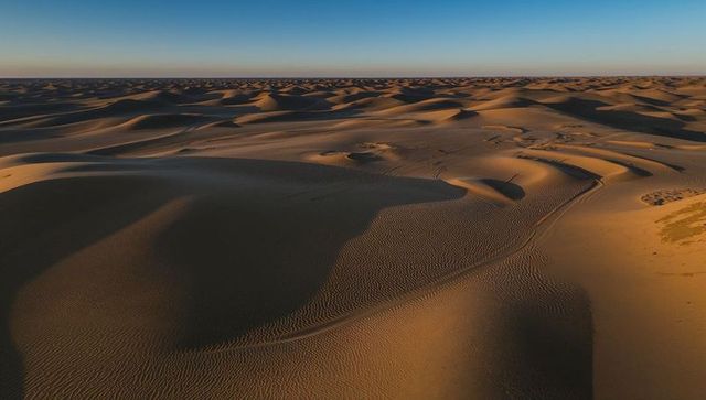 Sunlit Crescent Dunes Casting Long Shadows across Vast Desert Horizon
