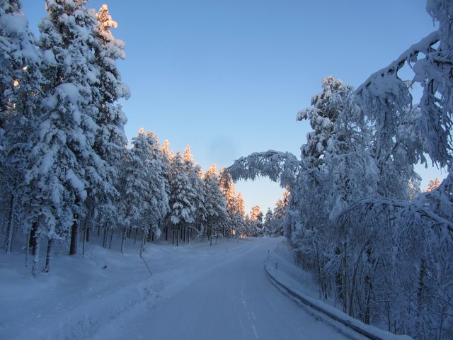 Snow-covered forest road during a stunning winter sunrise. Frost-covered trees lining the road, creating a tranquil and serene atmosphere. The orange glow of the sunrise casts a beautiful contrast against the blue-tinted snow, making this a picturesque and scenic travel destination. Ideal for use in travel brochures, winter vacation advertisements, nature photography collections, and inspirational landscape calendars.