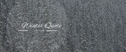 This serene template presents a tranquil snow-covered forest background for featuring inspirational winter quotes. Ideal for creating holiday greeting cards, digital announcements, or social media posts that celebrate the beauty of the winter season.