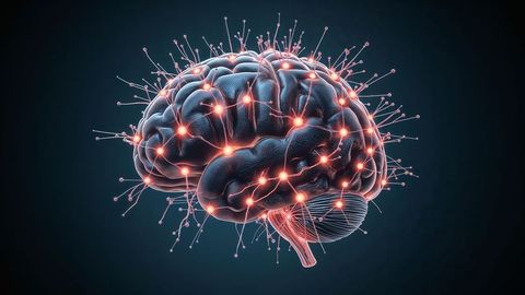 Futuristic neural network visualization with human brain model