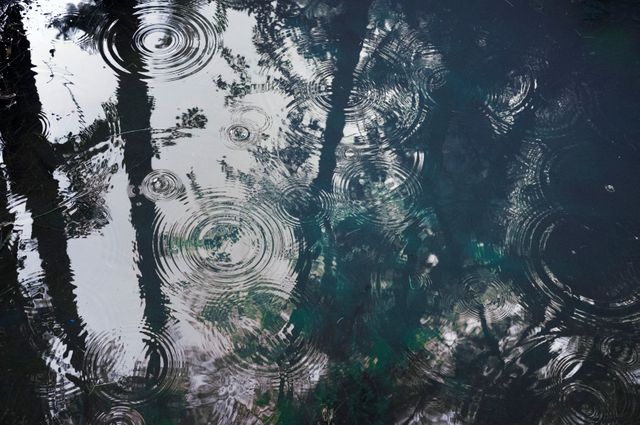 Raindrop ripples spreading across a forest pond with reflections of trees creating a serene and tranquil scene. Ideal for illustrating themes of nature, calmness, and tranquility, this image can be used for backgrounds in environmental blogs, relaxation websites, or meditation apps.