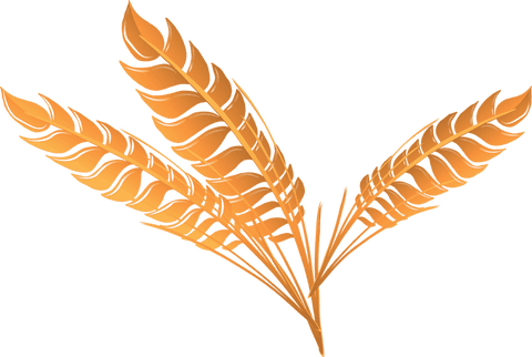 Transparent botanical fronds vector in metallic gold
