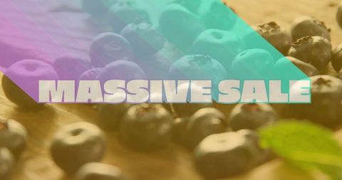 Blueberries with bold massive sale overlay for grocery promotion and food advertising