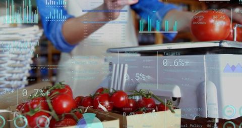 Vendor weighing fresh tomatoes on market scale with digital analytics overlay