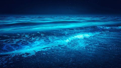 Glowing Bioluminescent Ocean Shore at Night Lighting Cyan Waves and Foamy Wet Sand