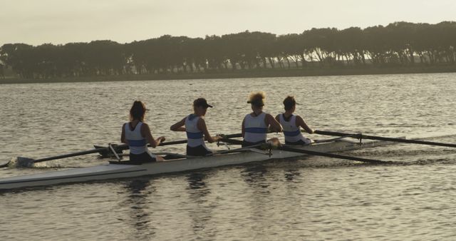 Women Rowing Team Training During Sunset on Tranquil Water - Download Free Stock Images Pikwizard.com