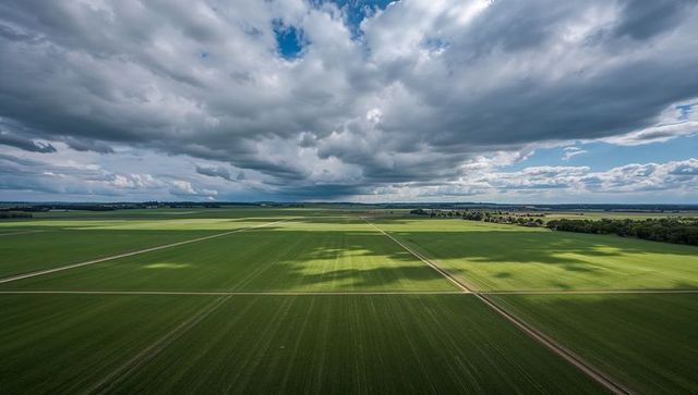 Aerial panorama of green crop fields with dirt tracks, row patterns and cloud shadows