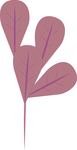 Minimalistic pink botanical branch with transparent background