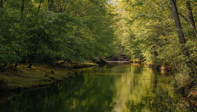 Flowing green creek reflecting forest canopy, mossy banks, tranquil woodland corridor