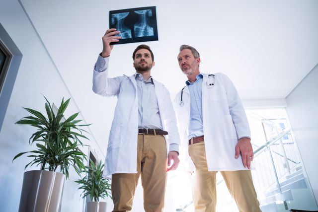 This image depicts two doctors dressed in white coats standing in a hospital corridor, holding an x-ray report and having a discussion. Ideal for use in healthcare, medical consultation, professional teamwork, and educational materials related to medical diagnosis and healthcare environments.