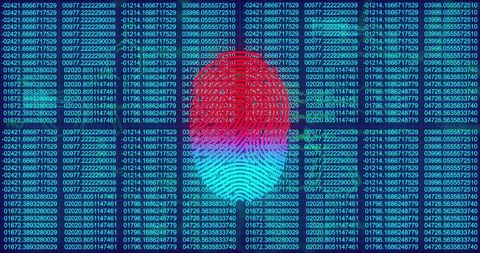 Fingerprint Biometrics on Digital Binary Code Background - Download Free Stock Images Pikwizard.com