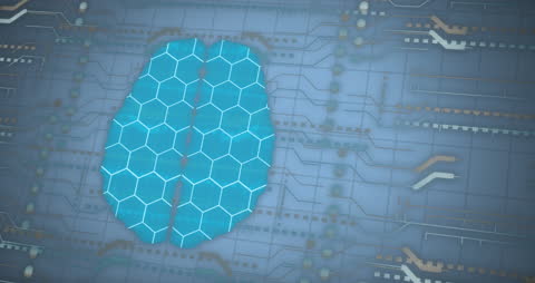 Futuristic Brain Circuitry Technology Interface