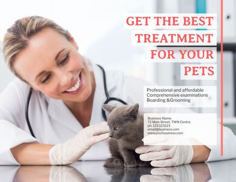 Veterinary Care Specialist Showing Compassion with Kitten - Download Free Stock Templates Pikwizard.com