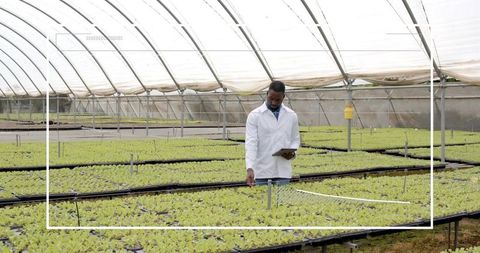 Engineer innovating advanced methods in modern greenhouse