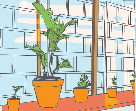 colorful transparent illustration of potted plants on window sill - Download Free Stock Videos Pikwizard.com